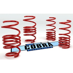 Muelles deportivos Cobra