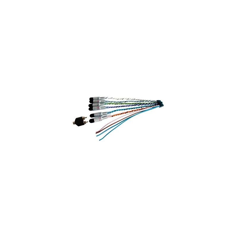 Cable rca Audison ACP 6