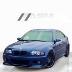 Bmw E46 M3 Divisor Delantero Negro Brillo Abs