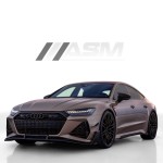 Audi Rs6 C8 / Rs7 C8 Divisor De Fibra De Carbono Pre-Preg Avant – Asm