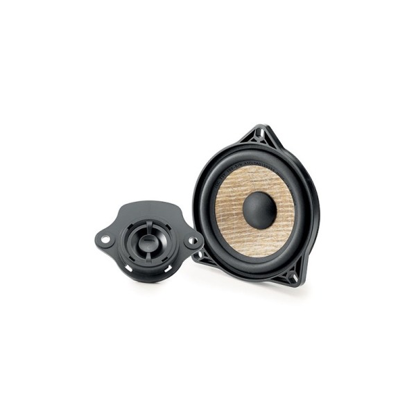 Altavoces Específicos FOCAL ICC T3Y 100