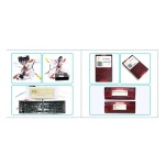 Sistema multimedia Navisson especifico para KIA carnival (2017)