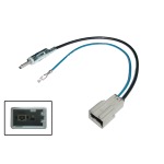 Radiovox Adaptador Antena Am-Fm. Personalizado RDV-21.3679
