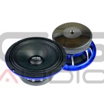Altavoces GS Audio VOCE 6F39