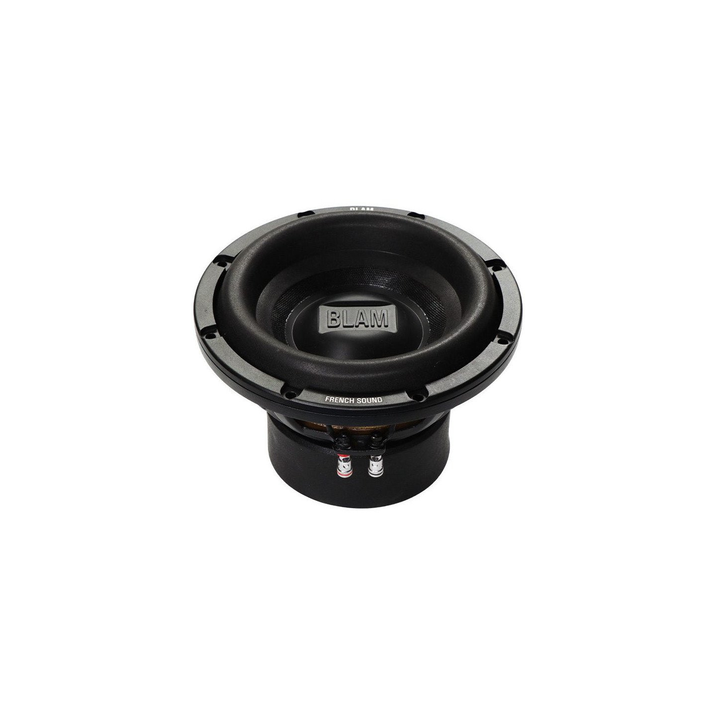Subwoofer Blam L25 DB PRO Subwoofer Blam L25 DB PRO - Imagen 1