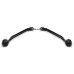 Juego de brazos de control inferiores TA Technix, tamaño pequeño, apto para eje delantero, Chrysler 300C / 300C Touring / Dodge Charger / Challenger / Magnum (52CH0001)